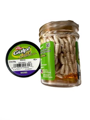 Berkley Glup Alive Waxies/Asticots Sıvılı Silikon Kurt