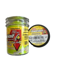 Berkley - Berkley Power Bait Natural Scent Garlic Worm - Tequila Lime 