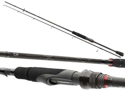 Daiwa Ballistic X 244cm 14-42g Ön Parça