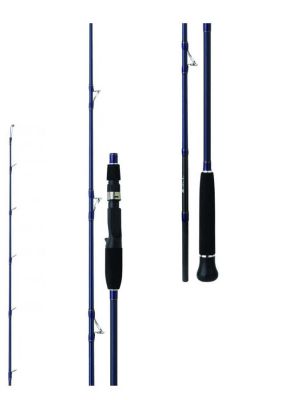 Daiwa Exceler Oceano 193cm 180gr Tetikli Jig Olta Kamışı 2P.