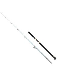 Daiwa - Daiwa Grandwave 168cm 100-300gr Olta Kamışı