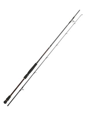 Daiwa Infeet Seabass 2.44m 7-28gr 2P Olta Kamışı