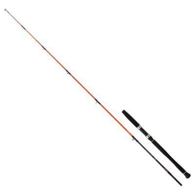 Daiwa Megaforce 1.90m 90-210gr 2p Jig Olta Kamışı