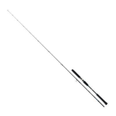 Daiwa Saltist Jigging 1.91m 90-210g 2P Jig Olta Kamışı