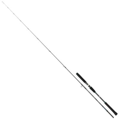 Daiwa Saltist Jigging II 188cm 60-180g Bait Casting Olta Kamışı