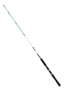 Daiwa Sensor Palangrotte Serisi 121cm 50-100gr Olta Kamışı 