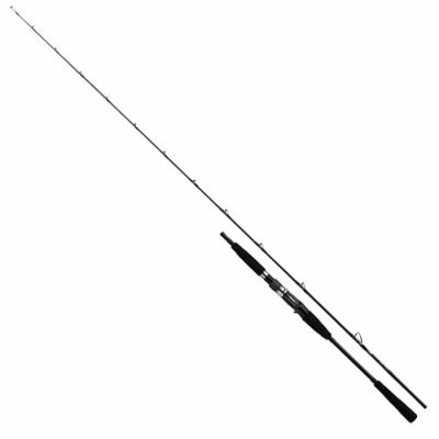 Daiwa Vadel Bay Jigging 200cm 90-180cm Olta Kamışı