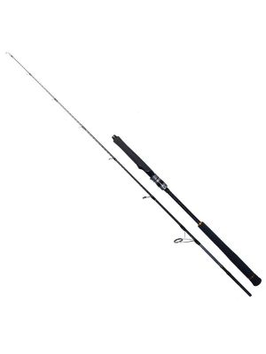 Ryuji Seawolf 1.68m 150-250gr 2P Jig Olta Kamışı