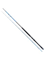 Ryuji - Ryuji Shore Game Fuji 2.85m 25-85gr 2P Shore Jig Kamış