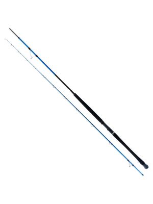 Ryuji Shore Game Fuji 2.85m 25-85gr 2P Shore Jig Kamış