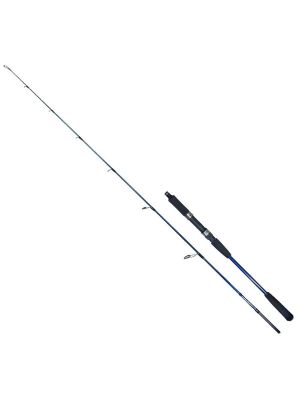 Ryuji Strobe II 1.68m 40-110gr 2P Jig Olta Kamışı