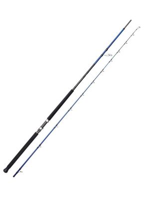 Savage Gear SGS6 Shore Jigging 3.05m 30-100gr 2 Parça Kamış