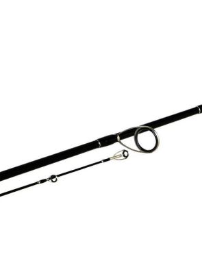 Shimano Bassterra Sea Bass 289cm 15-60gr Spin Olta Kamışı